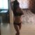 ANTALYA ESCORT AMİRA - Image 2